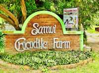 Samui Crocodile Farm 