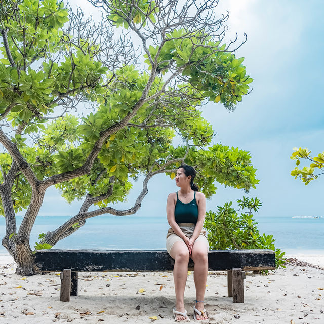 보홀 발리카삭 & 아이솔라 🏝️