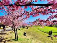 Umami-kyuryo Park 