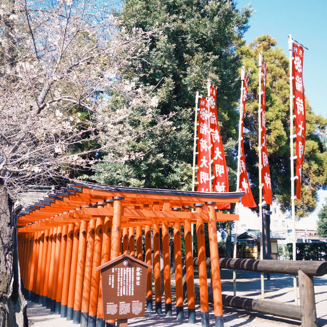 日本熊本景點｜賞櫻好地方之日式庭園🌸