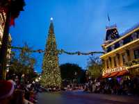 Disneyland’s Christmas Magic 🎄