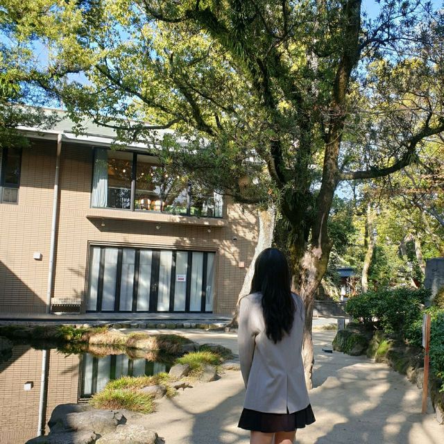 한적함을 즐길 수 있는 하코자키궁⛩