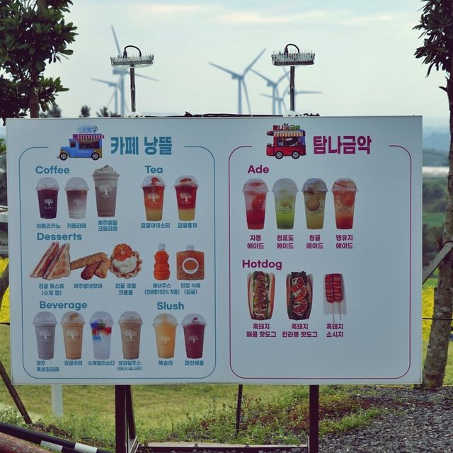 ☕️ 카페 낭뜰, 금악오름의 아늑한 휴식처