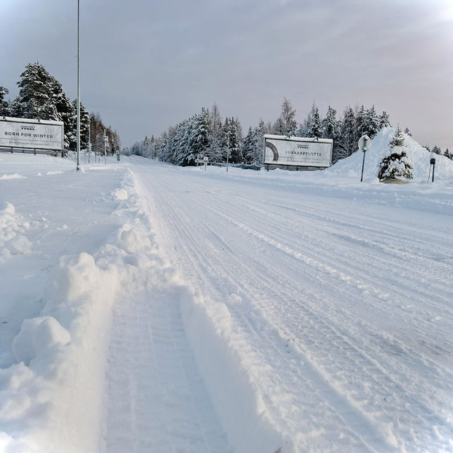 Snowmobile adventure & snow crabs feast