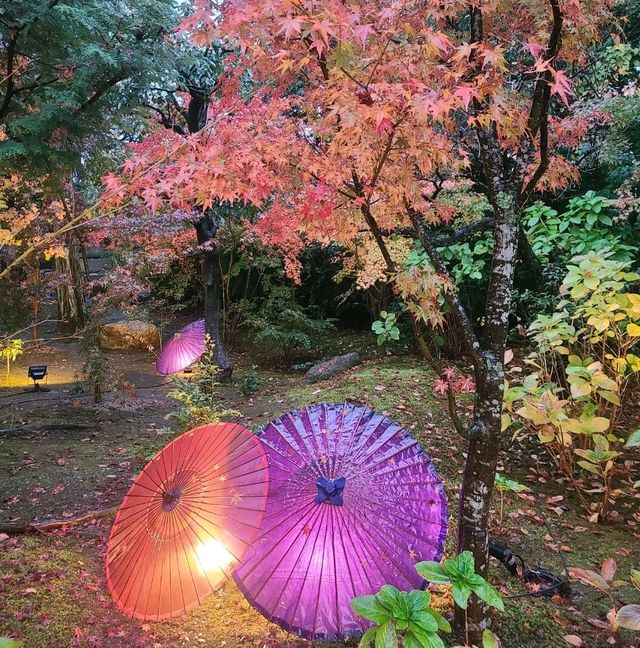 【京都】東福寺近くの穴場映えスポット⭐勝林寺⭐