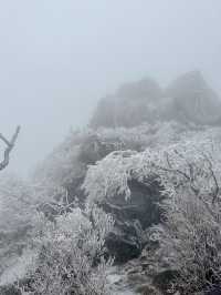 말그대로 겨울왕국❄️ 덕유산 눈꽃여행