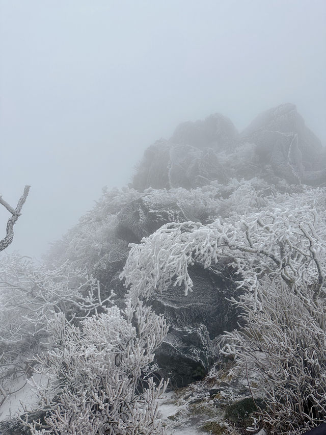 말그대로 겨울왕국❄️ 덕유산 눈꽃여행