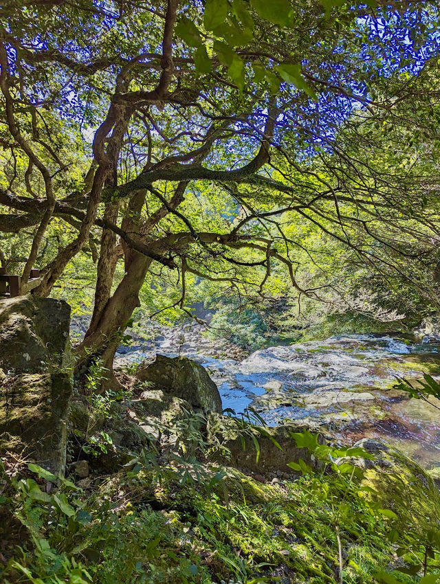 Cheonjeyeon Waterfalls