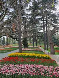 Emirgan Tulip Gardens