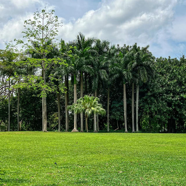 澳門水塘公園：世外桃源