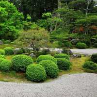 「安養園庭園」禪意枯山水景觀，超脫塵世的靈性狀態