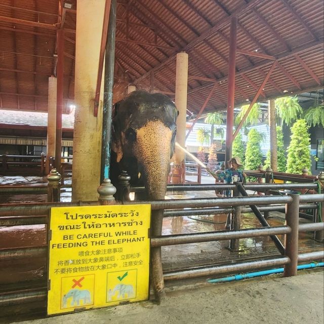 dinosaur in pattaya