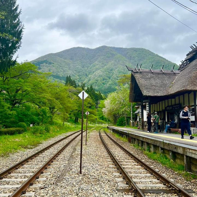 下野街道大內宿櫻花