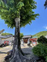 【明石弁天厳島神社/栃木県】日本で唯一の美人証明書発行