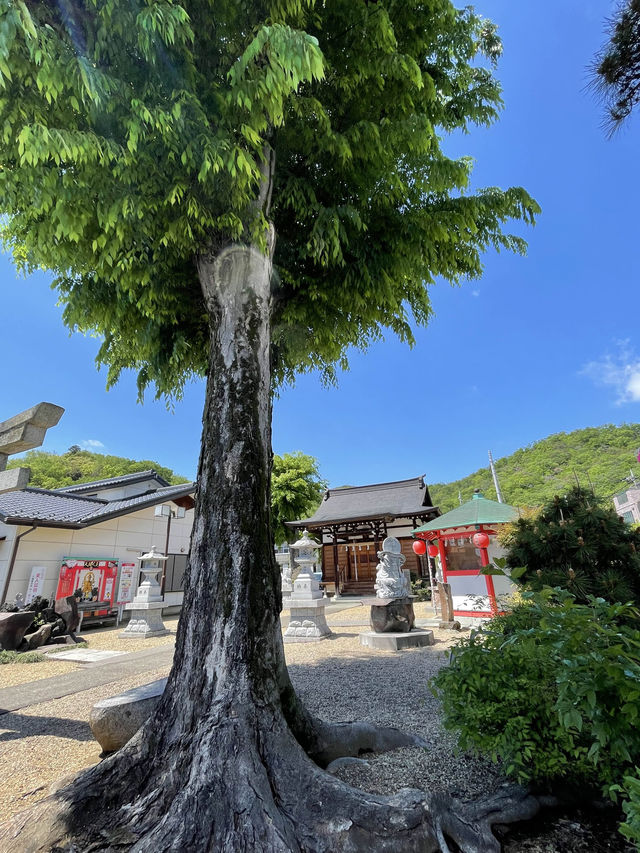 【明石弁天厳島神社/栃木県】日本で唯一の美人証明書発行