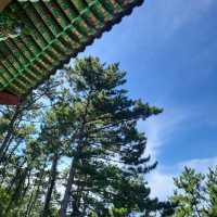 여수여행 향일암🏯