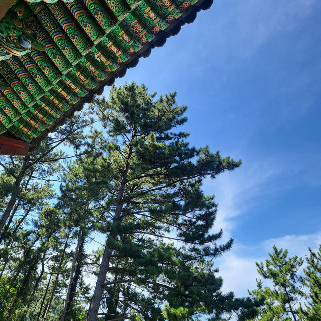 여수여행 향일암🏯