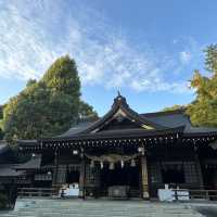 熊本的水前寺成趣園