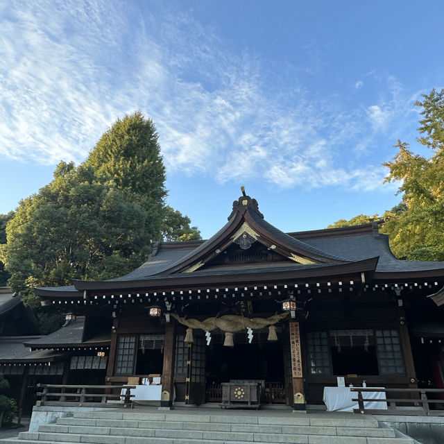 熊本的水前寺成趣園