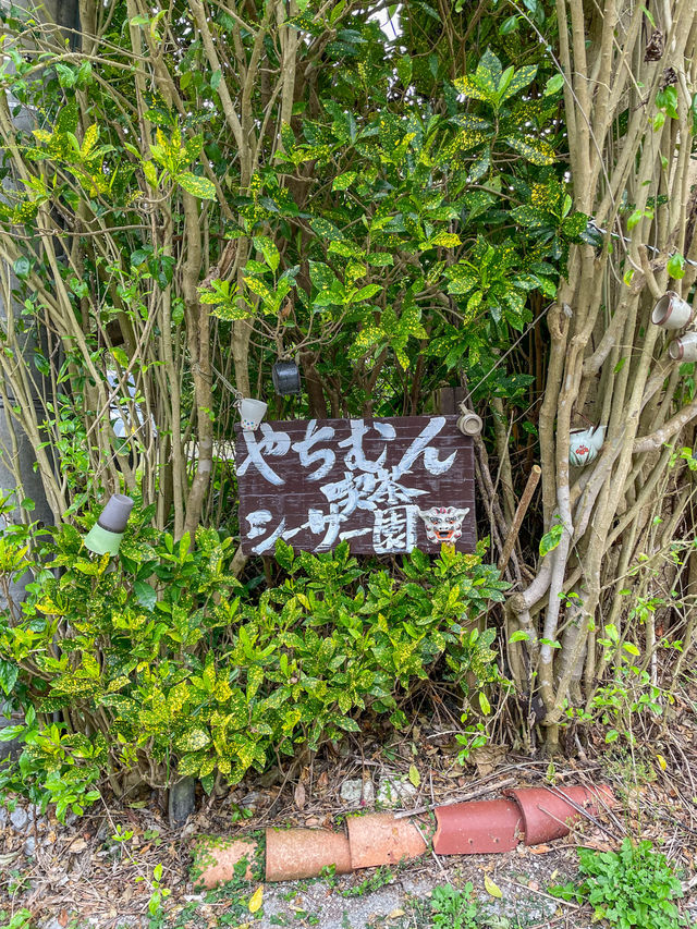 【沖縄】本部町 縁側席がおすすめ！やんばるで過ごす情緒ある森カフェ