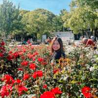 【大阪】萬博記念公園：5月花海，適合野餐🌿