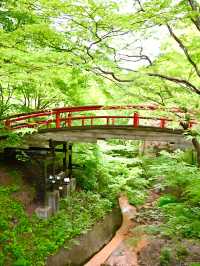 【伊香保温泉石段街/群馬県】歩くだけで楽しい道のり