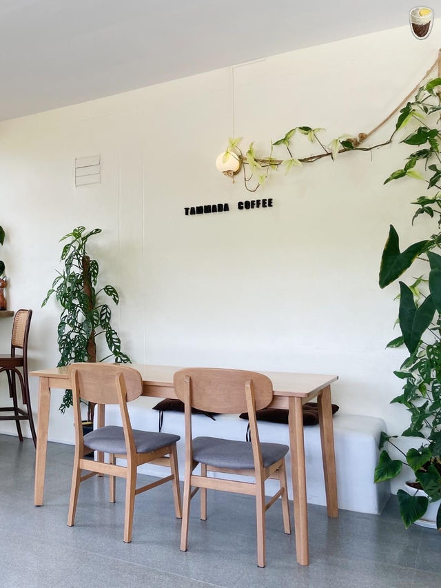 Tammada coffee ☕️🌱