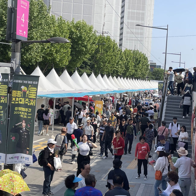 장미 축제 포토존 모음🩷