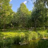 「府山公園：自然美景，多彩活動，春天好去處」