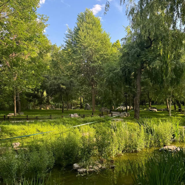 「府山公園：自然美景，多彩活動，春天好去處」