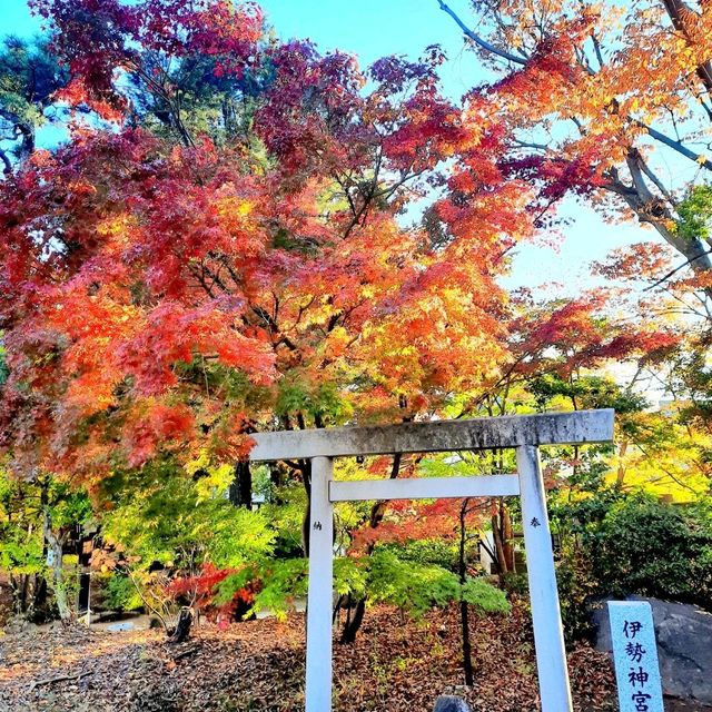 Matsumoto เมืองเล็กๆ เงียบสงบใน จ.Nagano