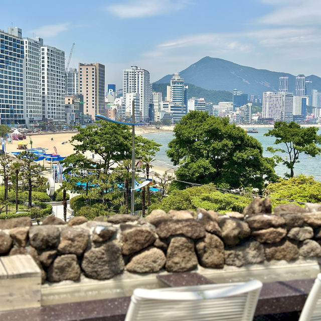 브런치와 요트투어를 함께 즐길 수 있는 cafe🩵 