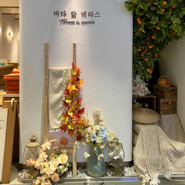 🍊Terrace in seaside x INNISFREE🍋