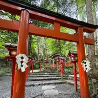小國神社：日本神道文化的優質目的地，悠久歷史傳統，感受神聖氛圍