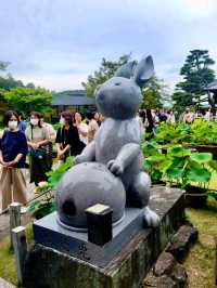 【京都/人気スポット】２万株の紫陽花！ハートの紫陽花❤️を探せ！京都、1.2を荒らそう激混みスポット