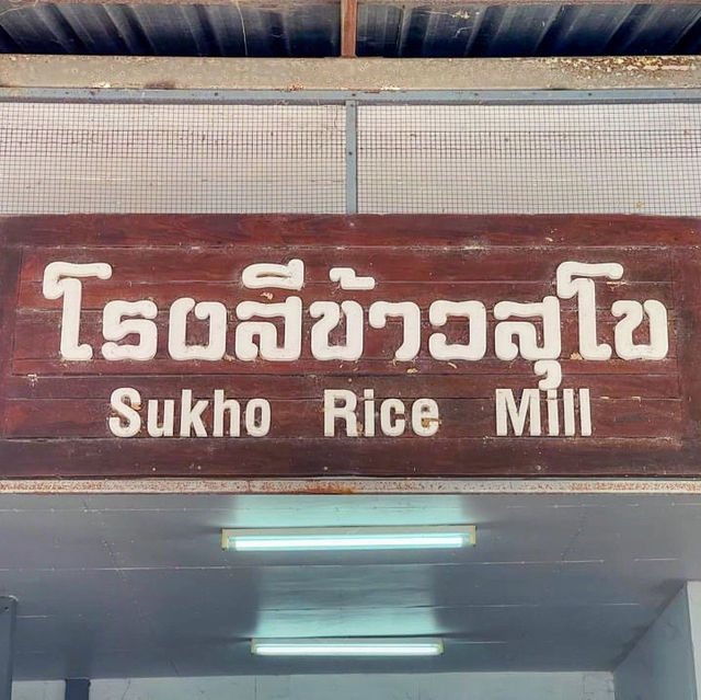 เรียนรู้วิถีชีวิตแบบเรียบง่าย กับการทำเกษตรอินทรีย์