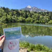 漂亮的利尻島，一個剛去完已想再去的地方