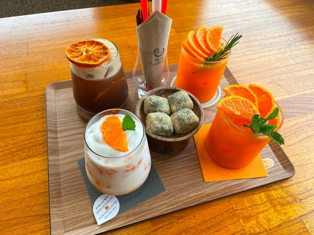 ❤︎🍊감귤 카페 감성 가득한 카페 더 콘테나