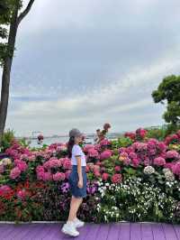 울산 수국축제 명소🌸 장생포고래마을 수국정원
