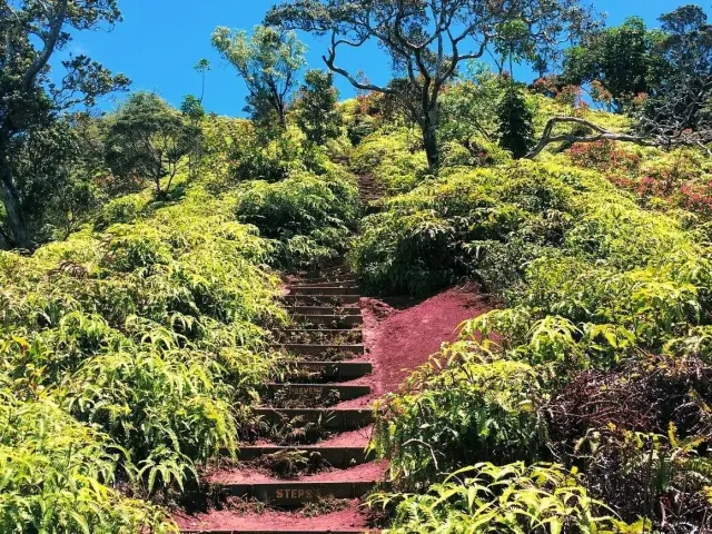 👣 Day Hike at Kuliouou Ridge Trail