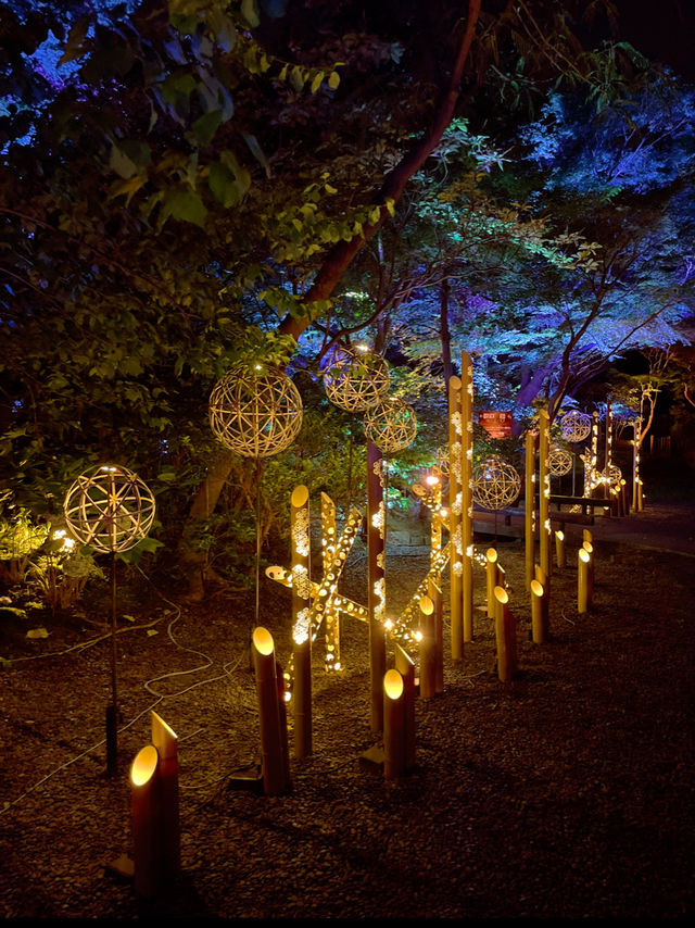 有名ホテルの庭園で絶景体験☺️✨高輪廿六夜✨竹あかり