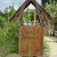 The Life Garden Boutique Farmstay จ.เพชรบุรี