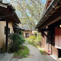 🎋小裏岡名宿🎋頂級享受🎋