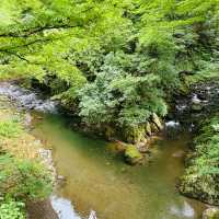 【福井】夏場にオススメの清涼スポット！