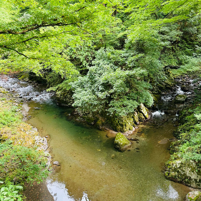 【福井】夏場にオススメの清涼スポット！