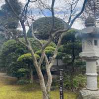 【大分】重要文化財のお屋敷割烹【的山荘】✨