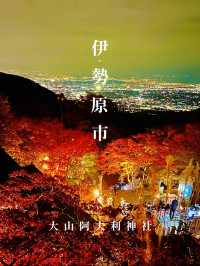 〜神奈川県〜夜景と紅葉両方楽しめるのはここだけ！大山阿夫利神社ライトアップ
