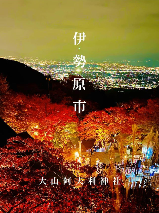 〜神奈川県〜夜景と紅葉両方楽しめるのはここだけ！大山阿夫利神社ライトアップ