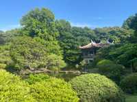 【東京】新宿御苑：櫻花季節必去景點🏖️，適合夏天遊玩🔥🔥