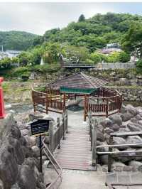 【静岡/伊豆修善寺】竹林の小径でおさんぽ🎋